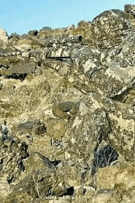 1591400762673.webp