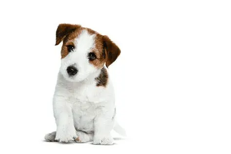 1591894252093.webp