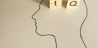 Image result for social bias on IQ tests