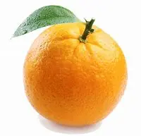 1593114400283.webp
