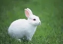 1593270195749.webp