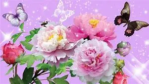 1593296290116.webp