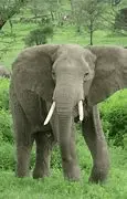 1593375186402.webp