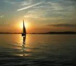 1595543281391.webp