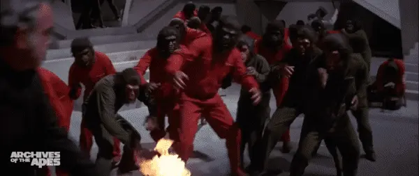 1598299692851.png