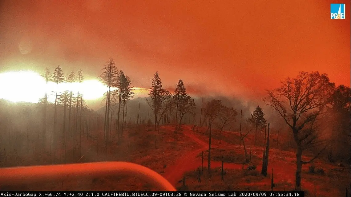 1599666329592.webp