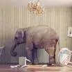 GOP obstruction of Obamacare exchanges from www.healthinsurance.org