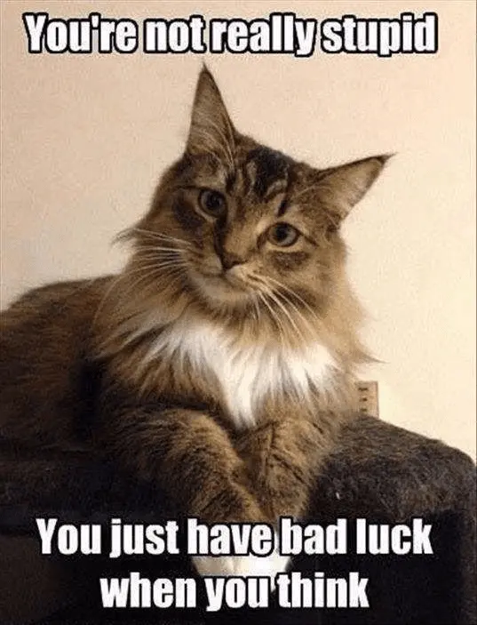 1602189495687.png