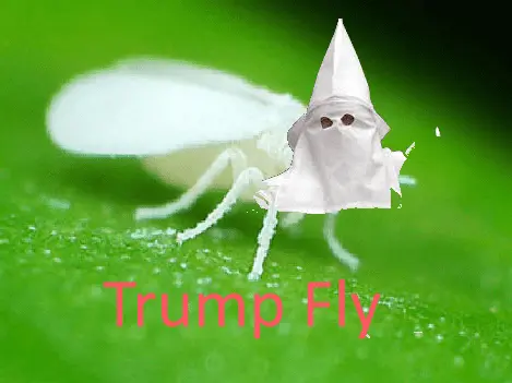 1602260402792.png