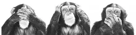 cropped-see-no-evil-hear-no-evil-speak-no-evil21.jpg | Questioning My  Metacognition