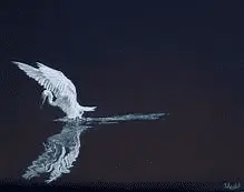 1606198367366.png