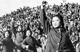 1610911445792.webp