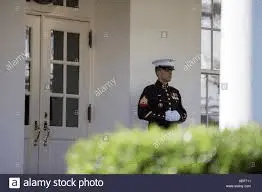 1611227047294.webp