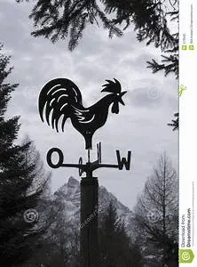 1612731373285.png