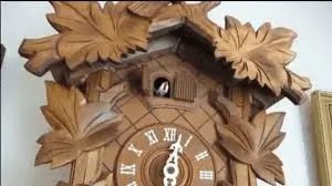 1613278348399.png