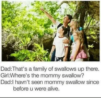 1613606290092.webp