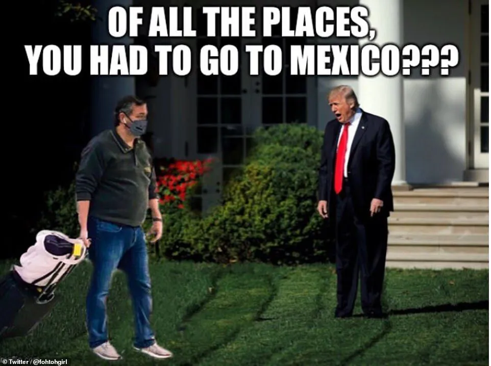 1613675688_908_Twitter-is-raging-with-trip-memes-from-Ted-Cruz-Cancun.webp