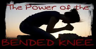 1614544300470.png
