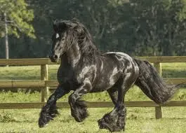 1615174664398.webp
