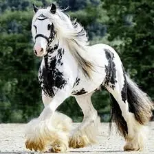 1615174709998.webp