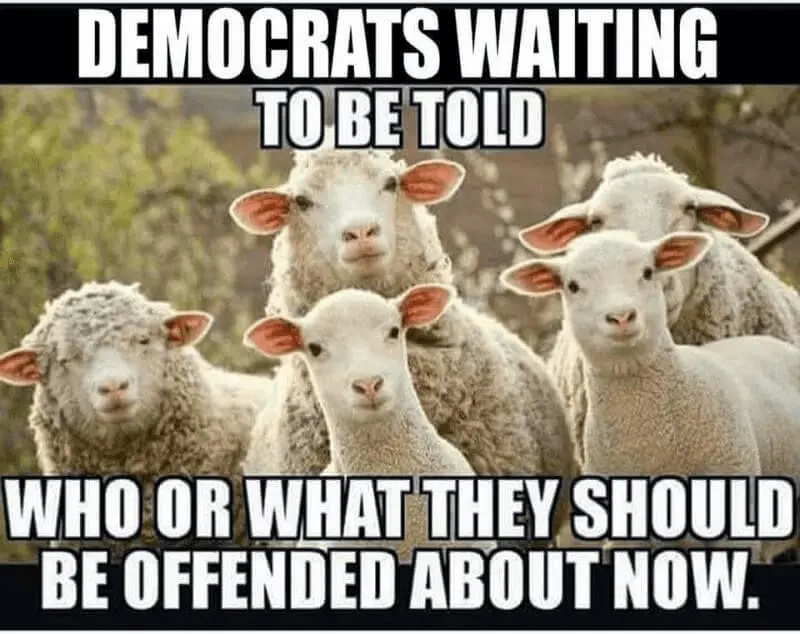 1616099188969.webp
