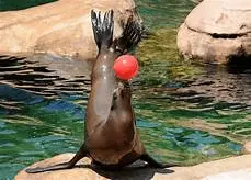 1616559207258.webp