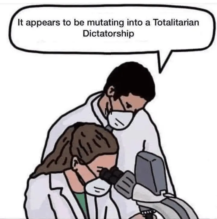 1618863330181.png