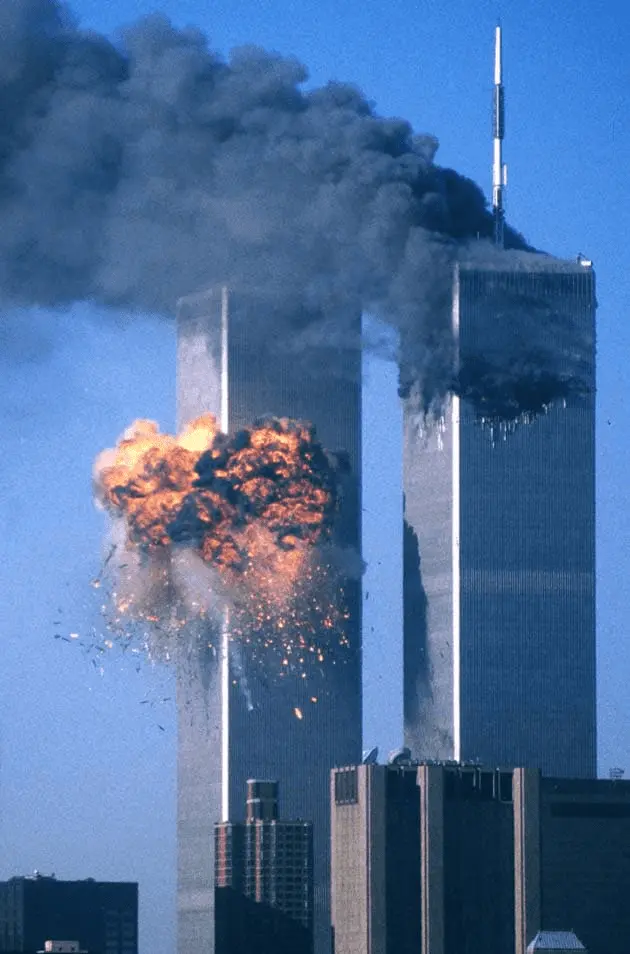 1619666868460.webp