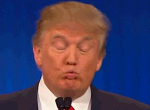 1622563408174.gif