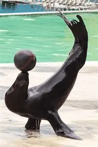 1622905064299.png