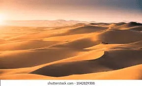 1623339138367.webp