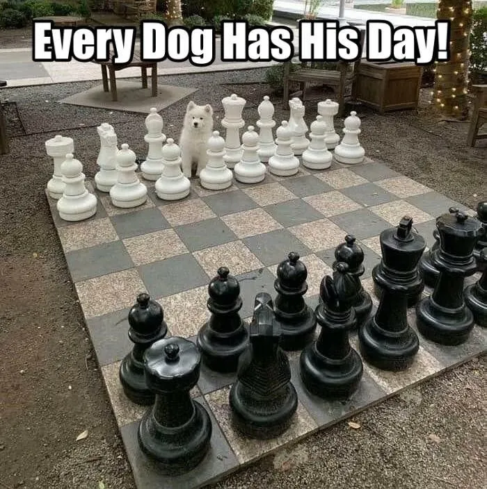 1623538938226.jpeg