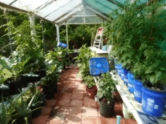 1625075465579.webp
