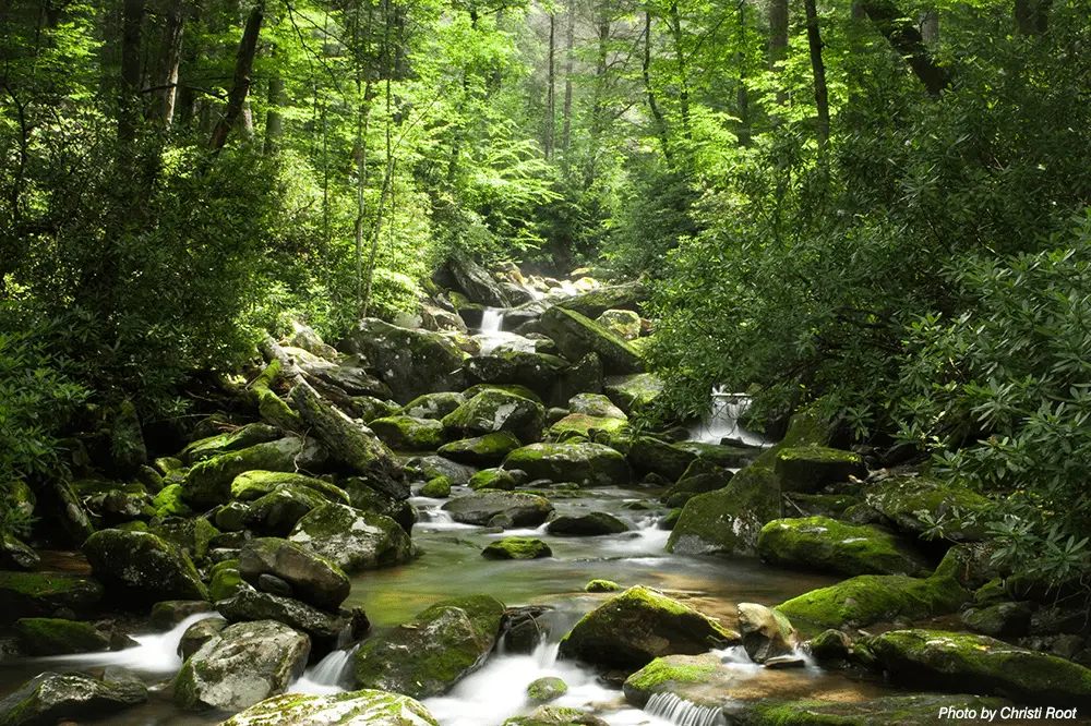 1625303699360.webp