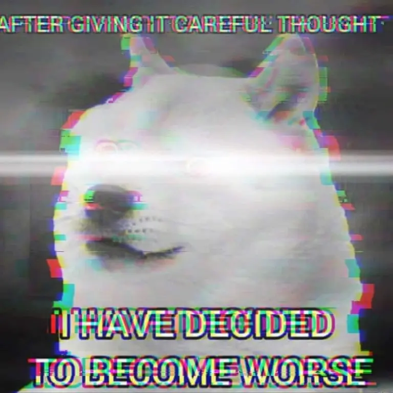 1625692946448.webp