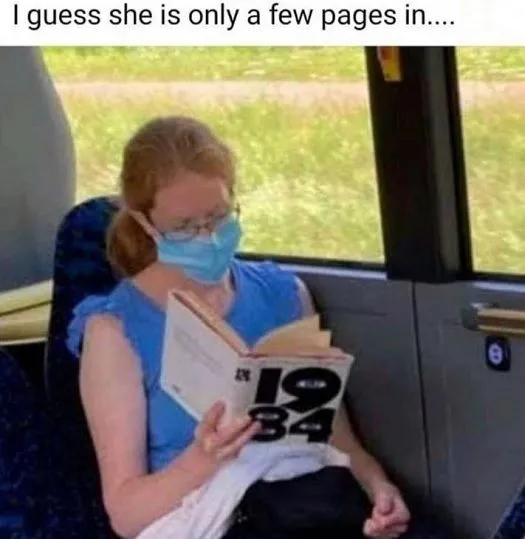 1627488229276.webp