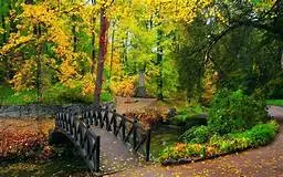 1628102774257.webp