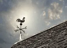 1630968856290.png