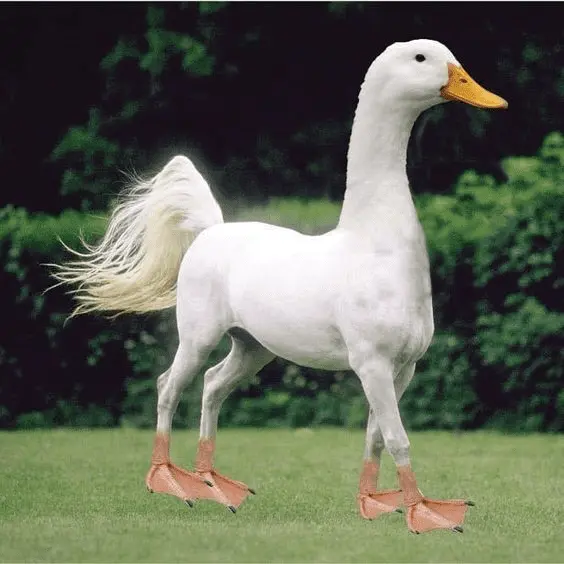 1631856531133.png