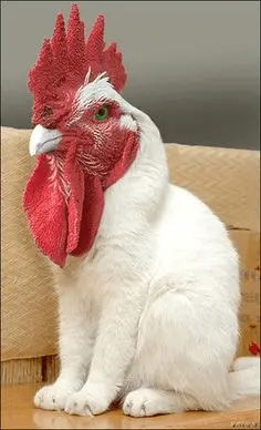 1631856587598.png