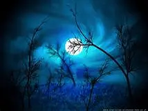 1633126701516.webp
