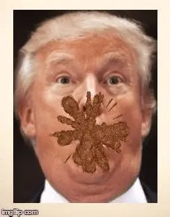 1635682242279.png