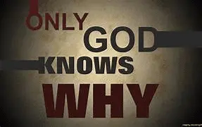 1635722476223.webp