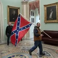 january 6 2021 democrat carrying confederate flag from www.businessinsider.com