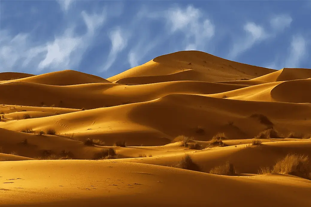 1638802533781.png