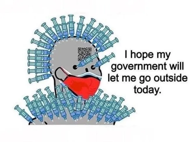 1639329346634.webp