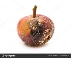 1639576670751.webp