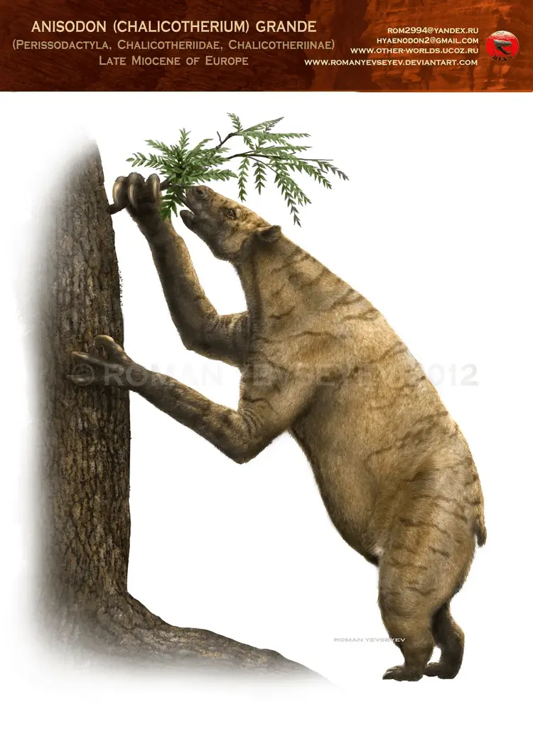 1639926807663.png