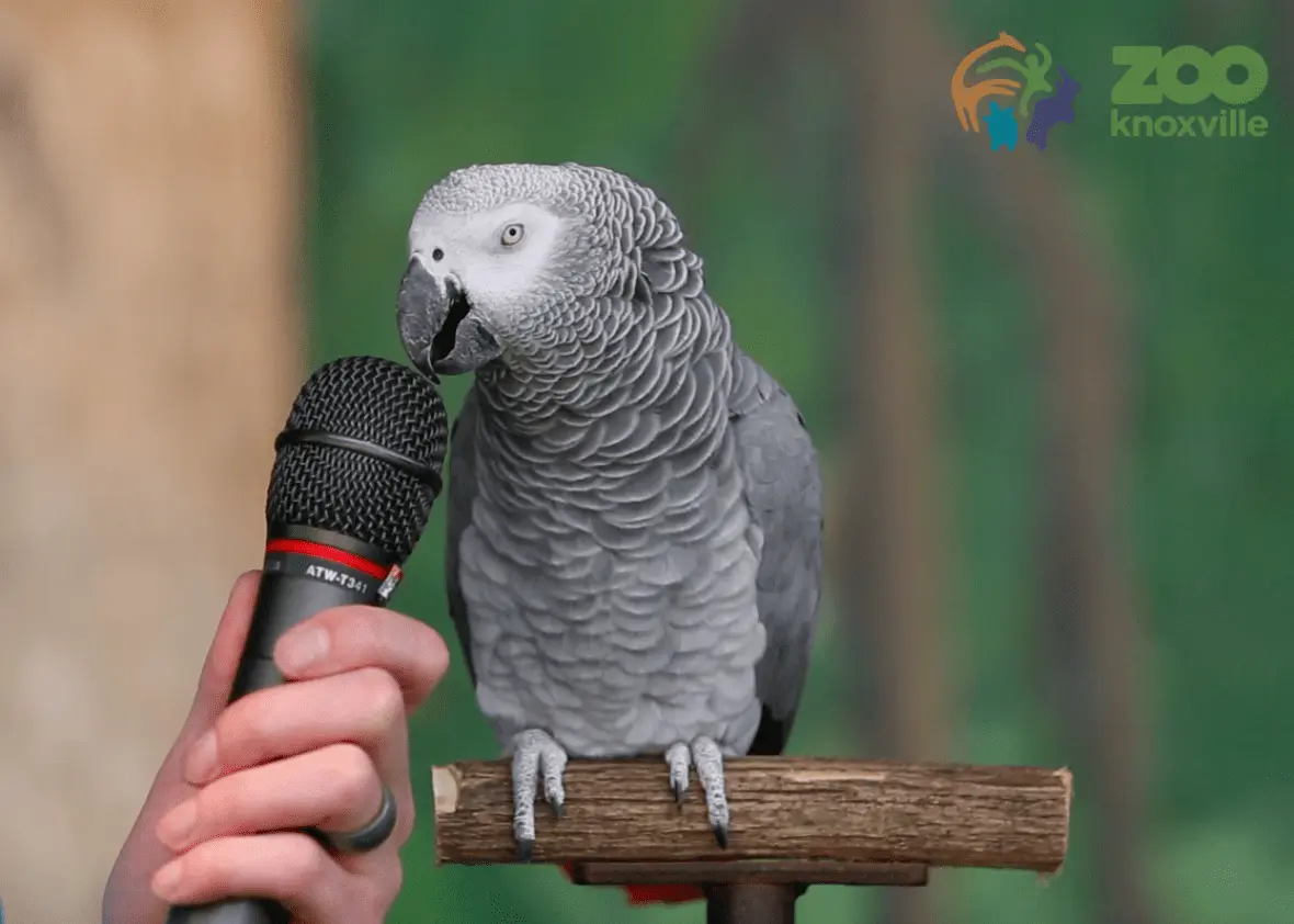 1641040109928.webp