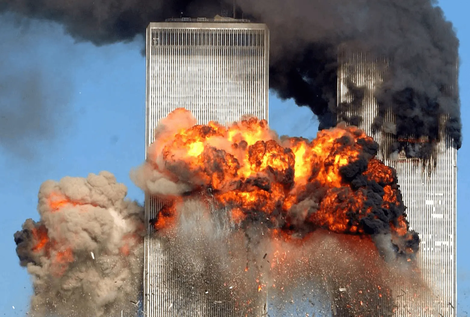1641480778233.webp